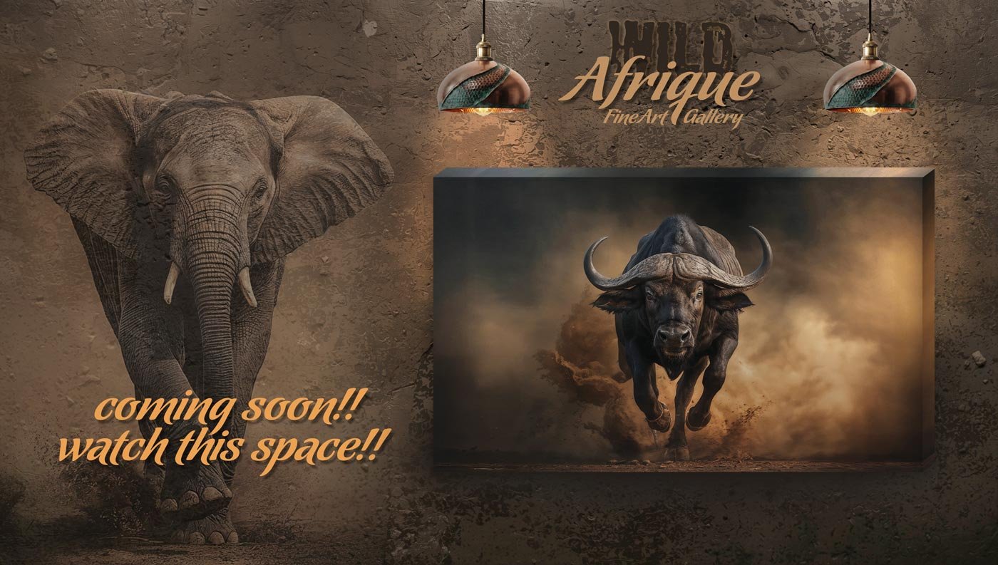 Wild Afrique Home